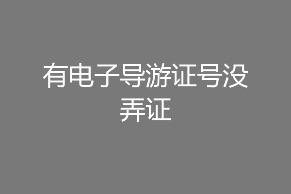 有电子导游证号没弄证