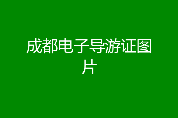 成都电子导游证图片