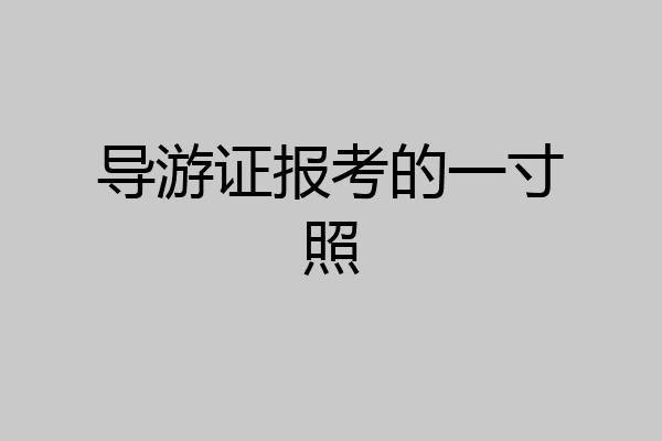 导游证报考的一寸照