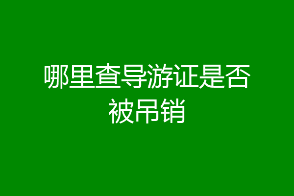 哪里查导游证是否被吊销