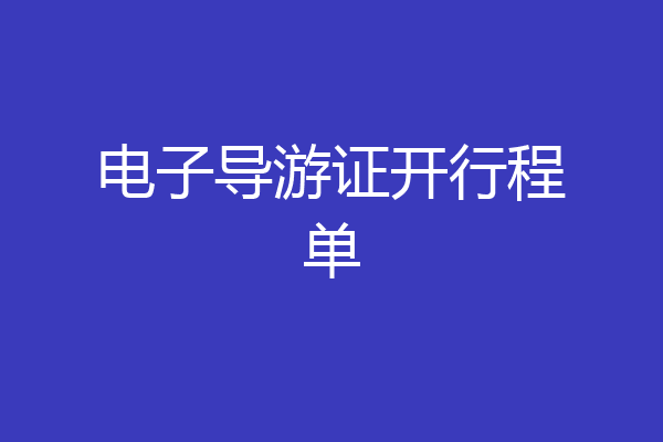 电子导游证开行程单