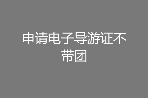 申请电子导游证不带团