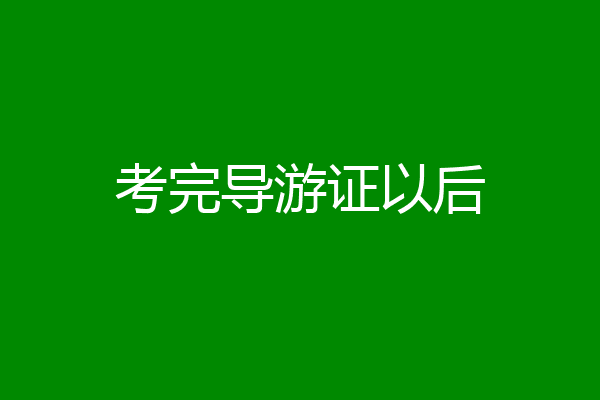 考完导游证以后