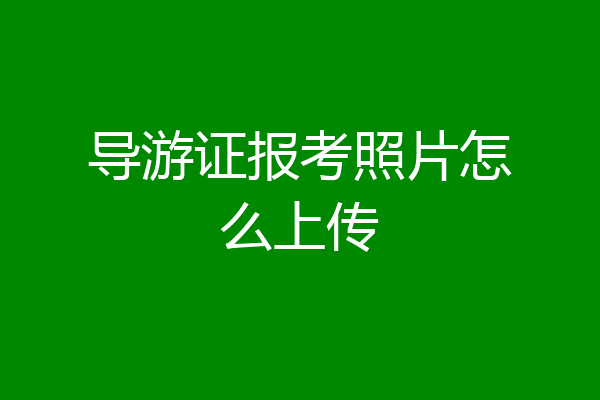 导游证报考照片怎么上传