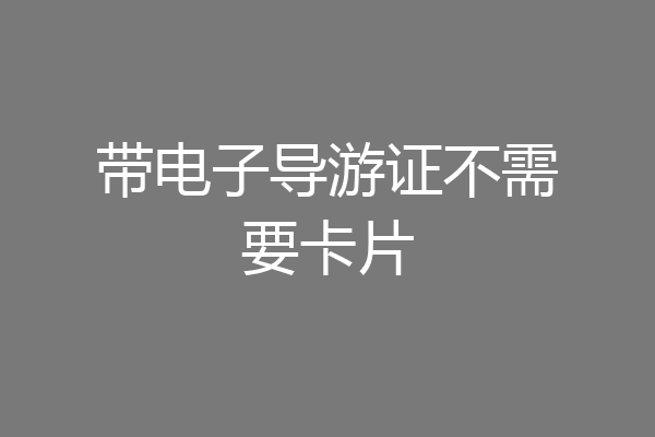 带电子导游证不需要卡片