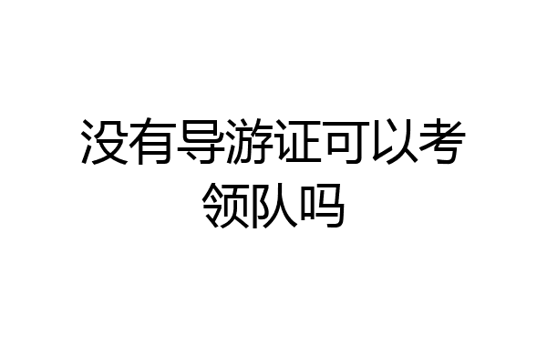 没有导游证可以考领队吗