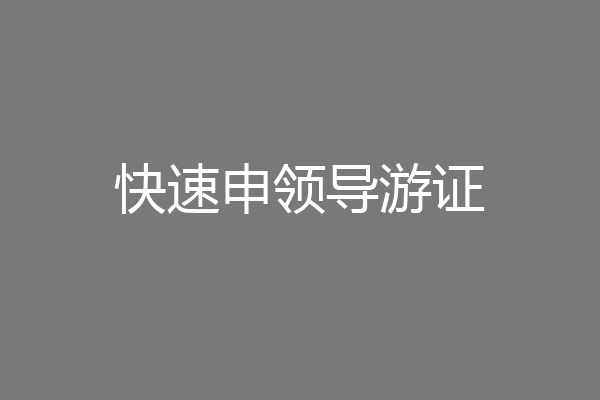 快速申领导游证