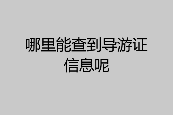 哪里能查到导游证信息呢
