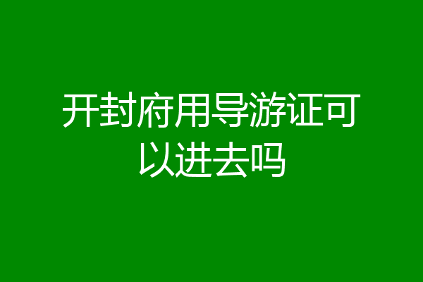 开封府用导游证可以进去吗