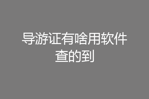 导游证有啥用软件查的到