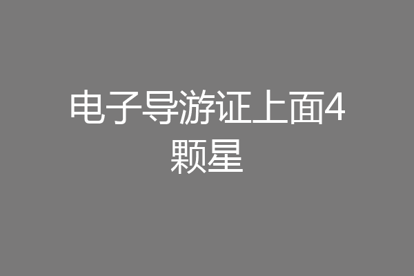 电子导游证上面4颗星