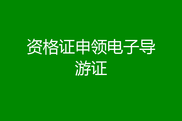 资格证申领电子导游证