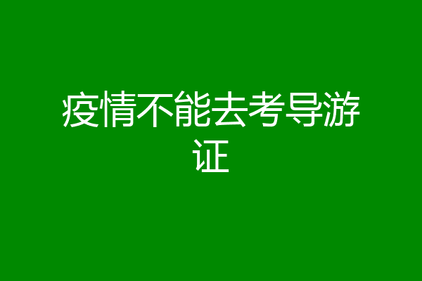 疫情不能去考导游证