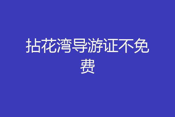 拈花湾导游证不免费