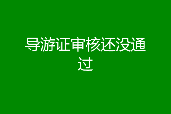 导游证审核还没通过