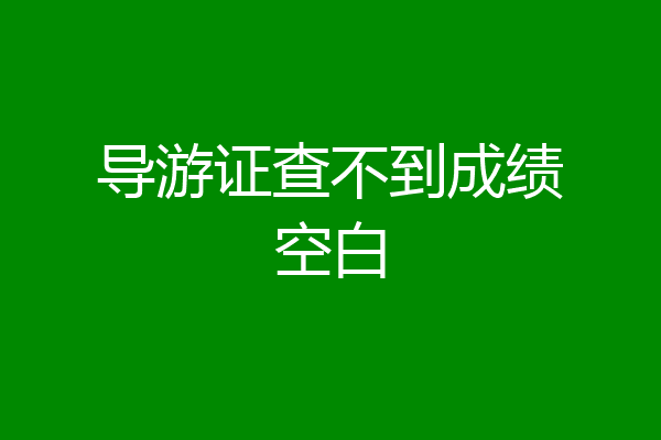导游证查不到成绩空白