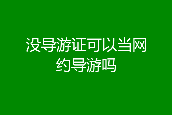 没导游证可以当网约导游吗