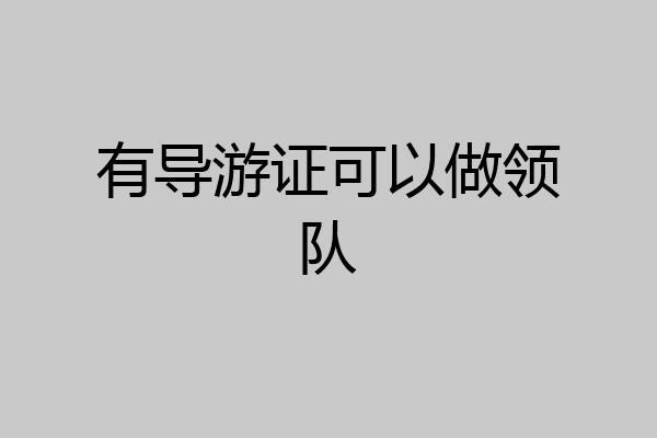 有导游证可以做领队