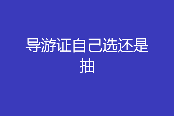 导游证自己选还是抽