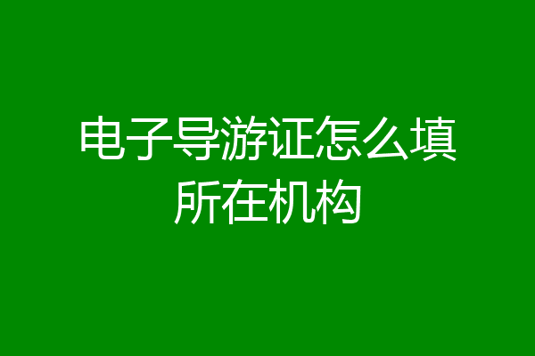 电子导游证怎么填所在机构