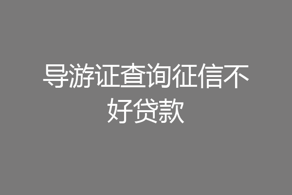 导游证查询征信不好贷款