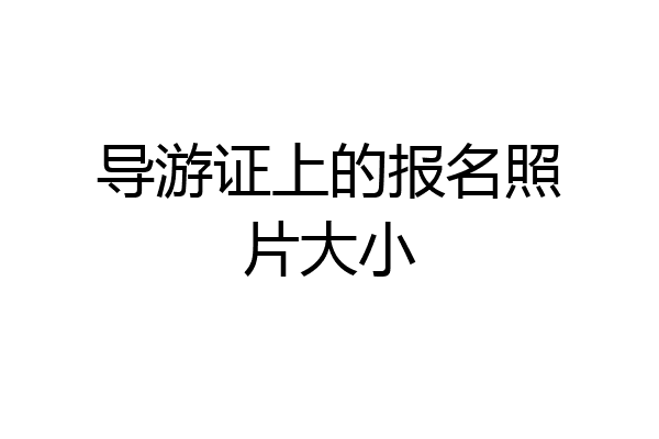 导游证上的报名照片大小