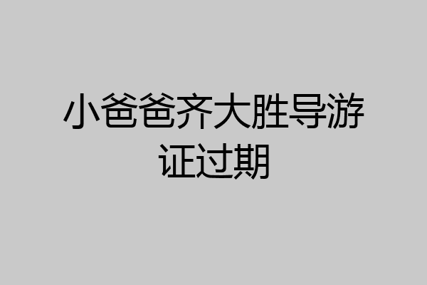 小爸爸齐大胜导游证过期