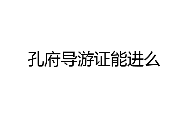 孔府导游证能进么