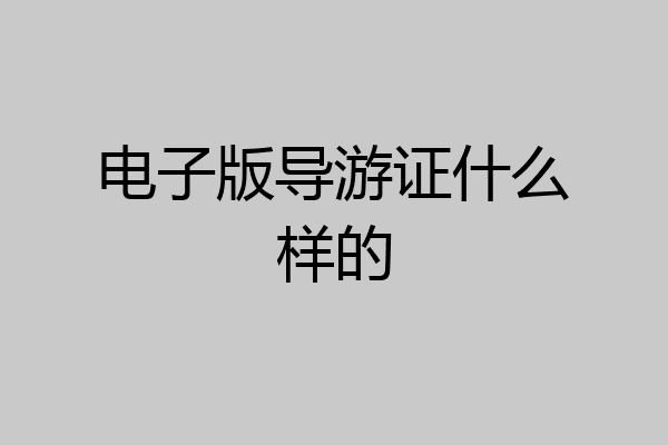 电子版导游证什么样的