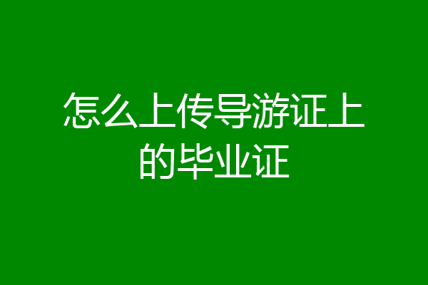 怎么上传导游证上的毕业证