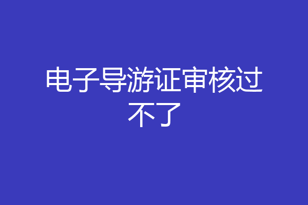 电子导游证审核过不了