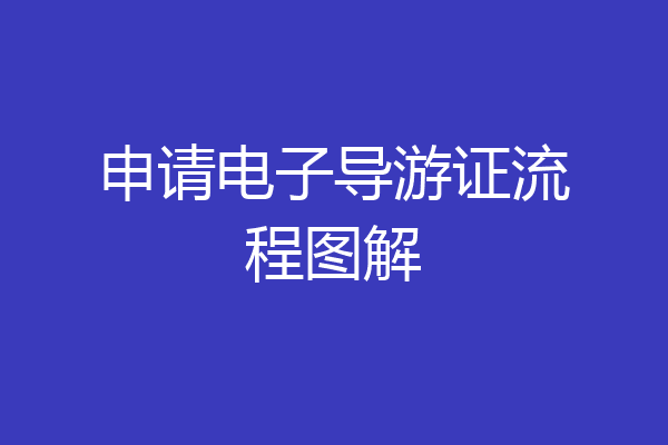 申请电子导游证流程图解