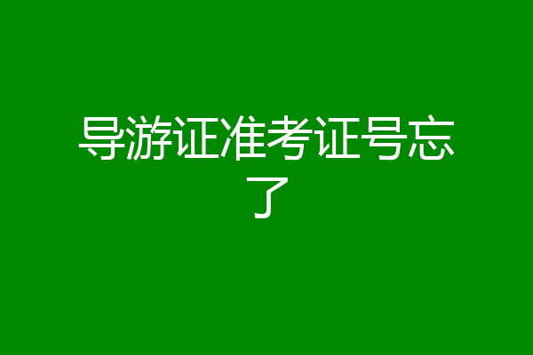 导游证准考证号忘了