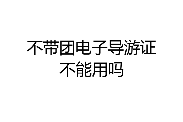 不带团电子导游证不能用吗