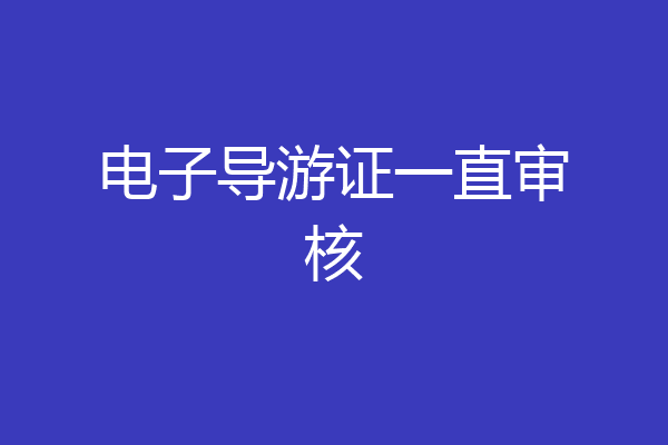 电子导游证一直审核