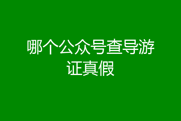 哪个公众号查导游证真假