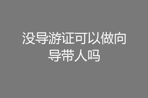没导游证可以做向导带人吗