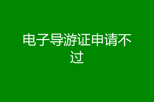 电子导游证申请不过