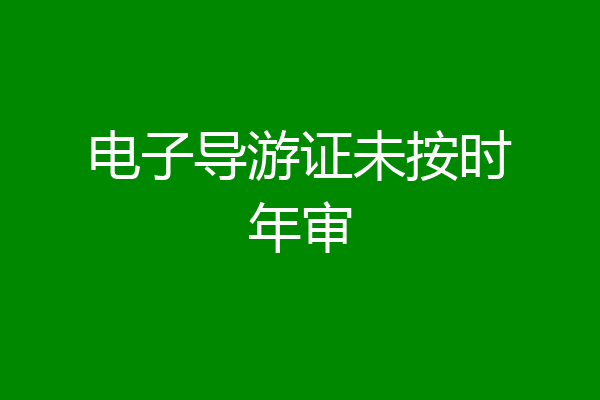 电子导游证未按时年审