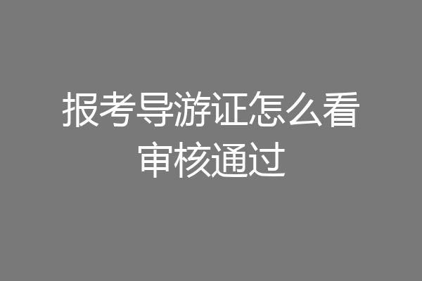 报考导游证怎么看审核通过