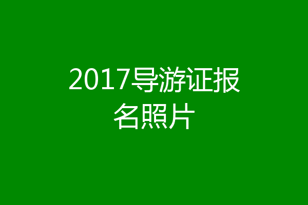 2017导游证报名照片