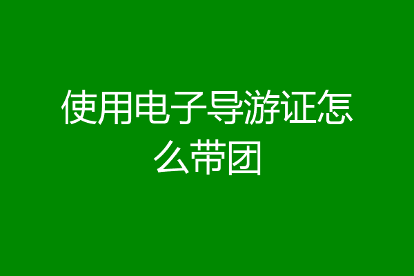 使用电子导游证怎么带团