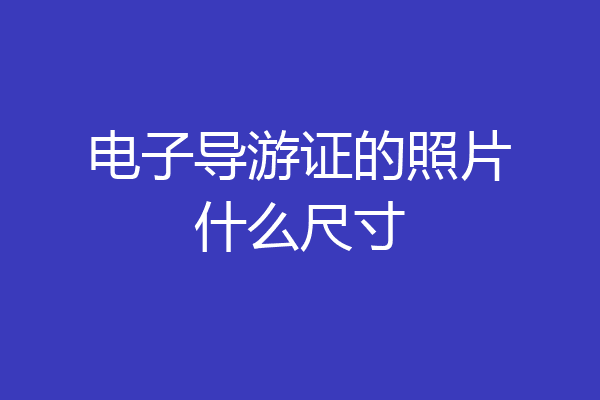 电子导游证的照片什么尺寸