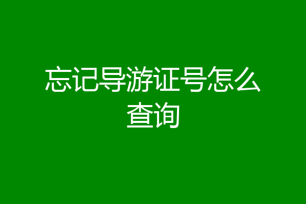 忘记导游证号怎么查询