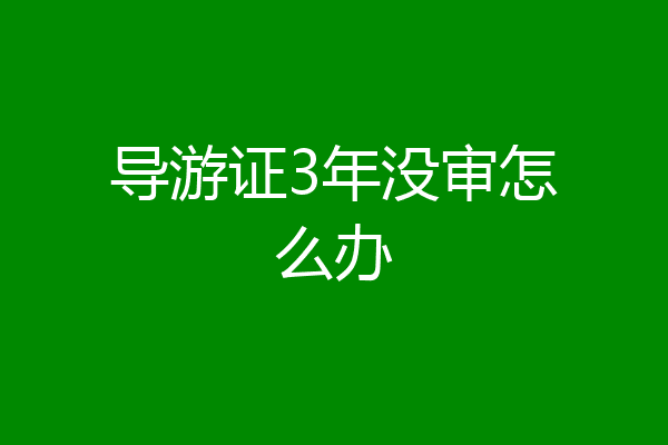 导游证3年没审怎么办