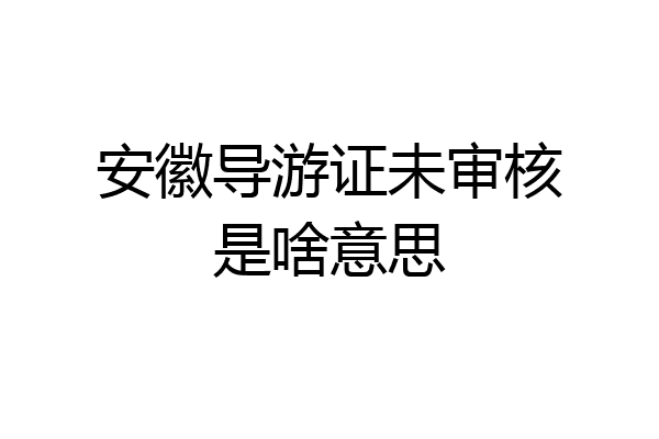 安徽导游证未审核是啥意思