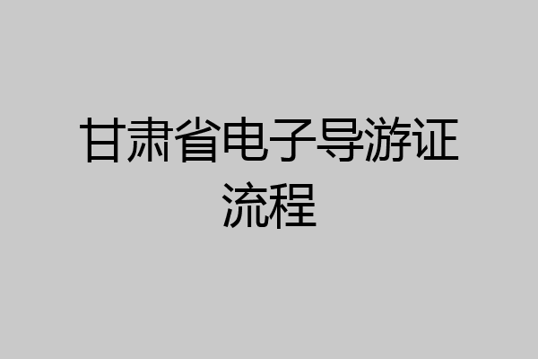 甘肃省电子导游证流程