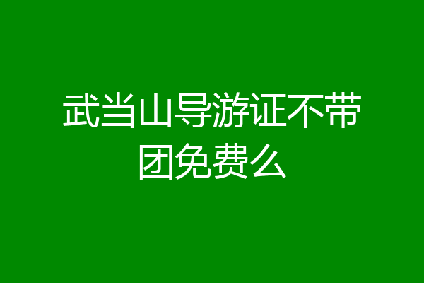 武当山导游证不带团免费么