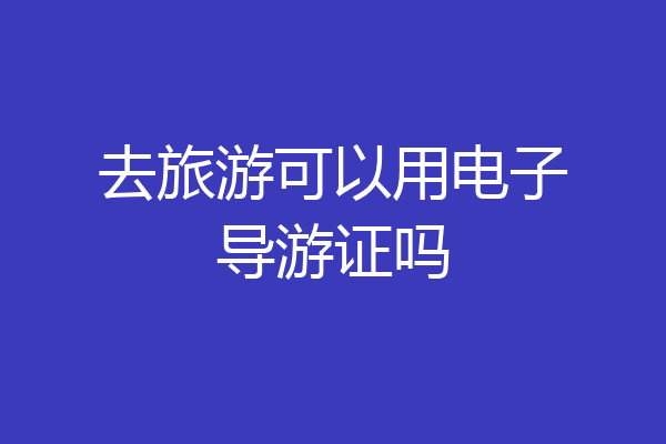 去旅游可以用电子导游证吗