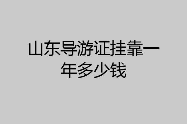 山东导游证挂靠一年多少钱